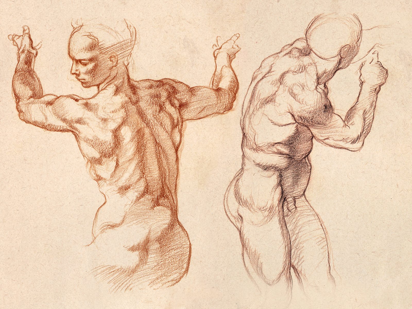 Two figure drawings after Michelangelo: a red chalk study of a back with raised arms and a sepia study of a male nude, showing contour lines drawn loosely rather than as one direct outline.